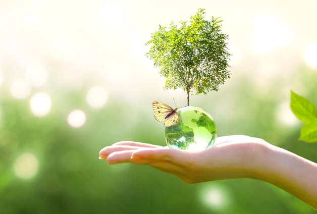 ESG DATA SHEET & GRI CONTENT INDE
