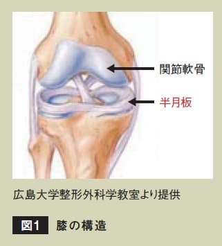 半月板損傷治療技術の創生 Sanyo Chemical Magazine