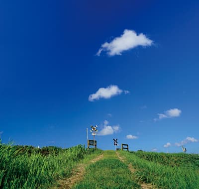 雲が浮かぶ青空と踏切だけ。これぞ 鉄道が持つゆる～い雰囲気や旅情を 被写体にした「ゆる鉄写真」なのです いすみ鉄道（千葉県）❘　No.520　表紙　