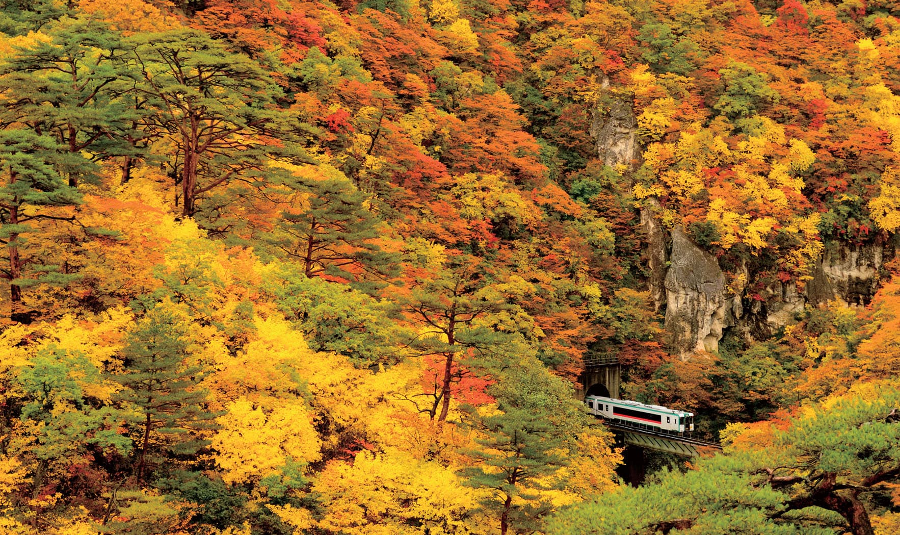 鳴子峡と陸羽東線。高さ約100mのV字型渓谷を囲む紅葉は、息をのむ美しさ （2010.11.1/陸羽東線 鳴子温泉駅～中山平温泉駅）