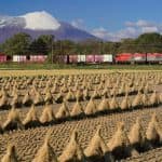 雪をたたえた岩手山と稲干しの風景（2018.11.2/IGRいわて銀河鉄道 好摩駅付近）