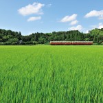 青い空に緑の田んぼ。そこを走るツートンカラーの列車は、古き良きローカル線の風景のものだ（上総川間駅）