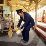 小湊鐵道は、どこも 懐かしく温かい雰囲 気に包まれています （養老渓谷駅）