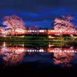 水鏡に桜と列車が映る幻想的な春の夜（飯給〈いたぶ〉駅）