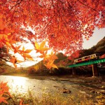 久慈川と鮮やかな紅葉を望みながら走る水郡線（2016.11.16/水郡線 矢祭山駅付近）
