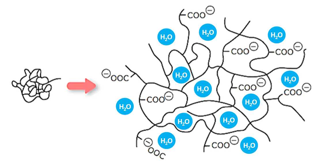 SUPERABSORBENT POLYMER - Sanyo Chemical