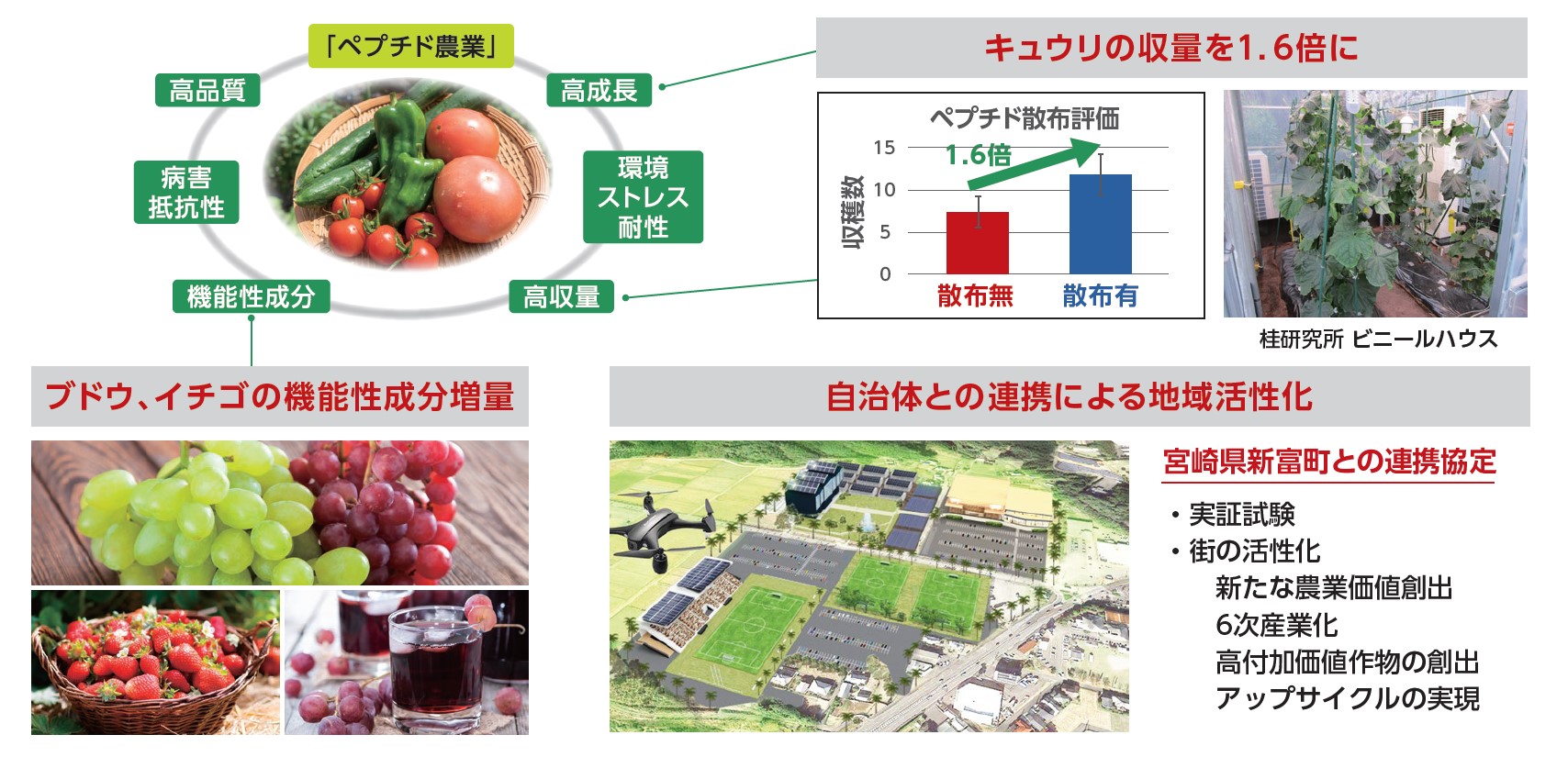 三洋化成のペプチド農業