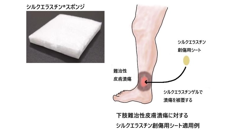 【超貴重】新・人間医学百科 監修　杉靖三郎　送料込み 最新臨床検査学講座 一般検査学/医歯薬出版株式会社